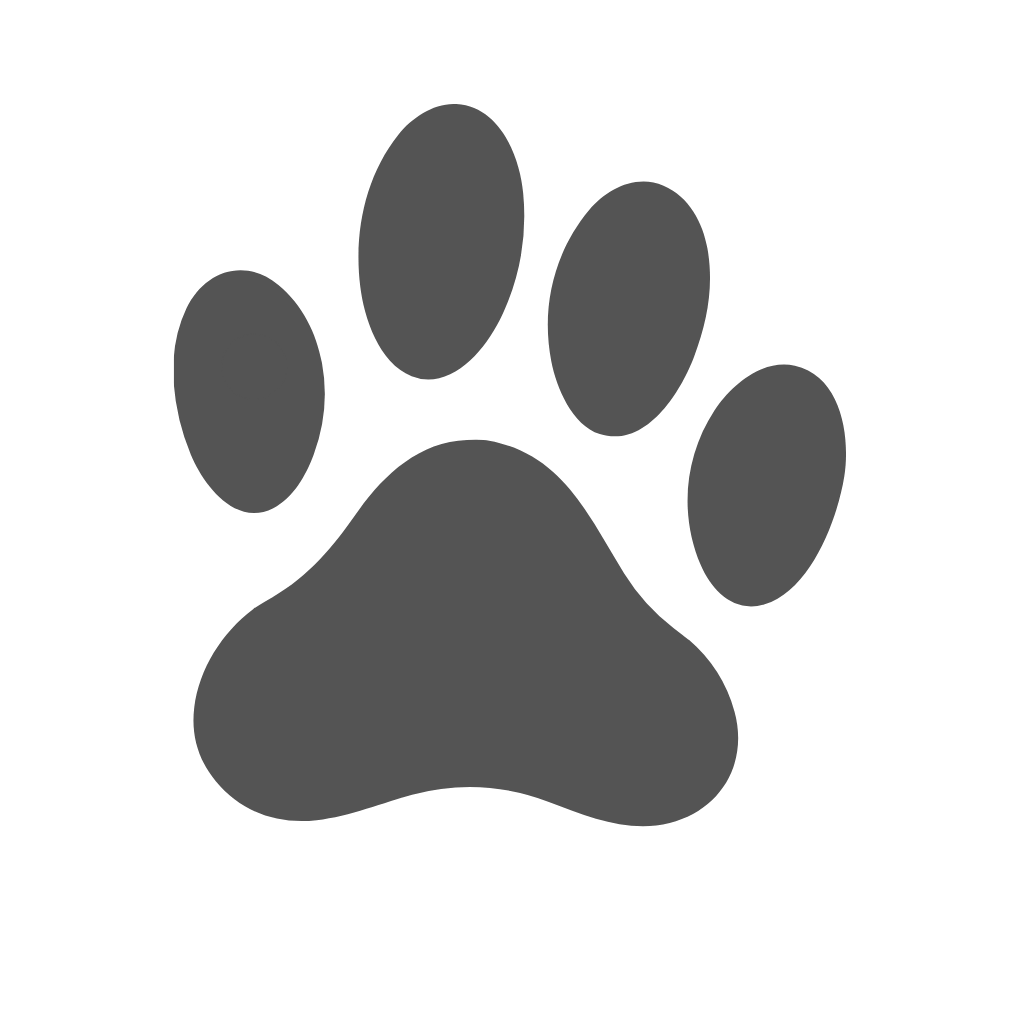 Rayapets