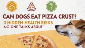 can dogs eat pizza crust