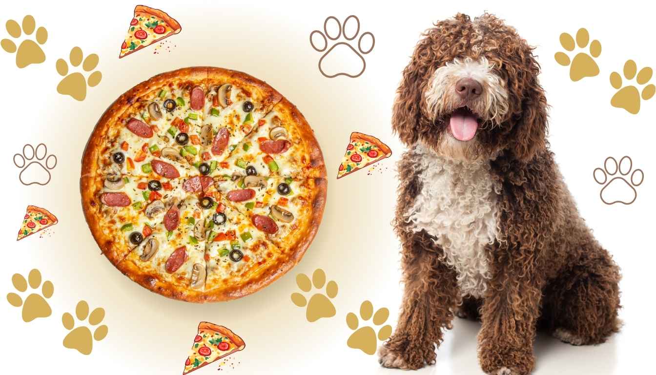 can dogs have pizza