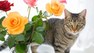 are roses poisonous to cats