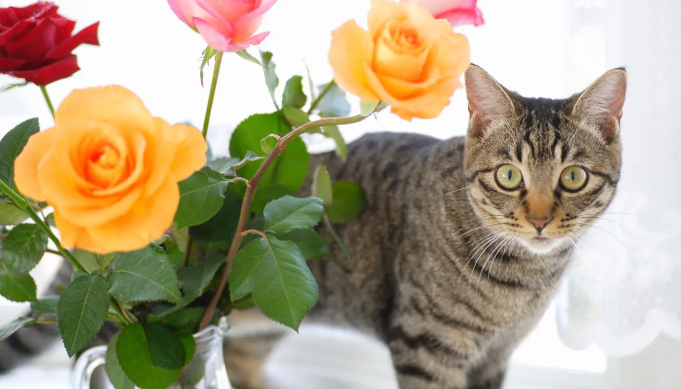 are roses poisonous to cats
