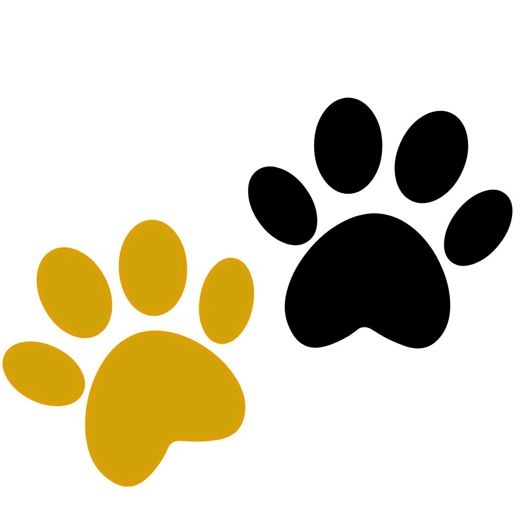 rayapets