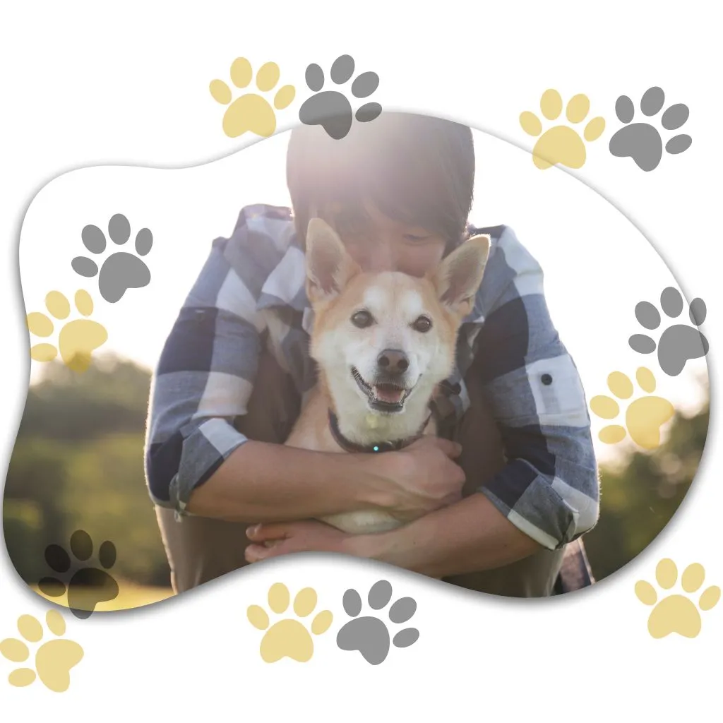 rayapets